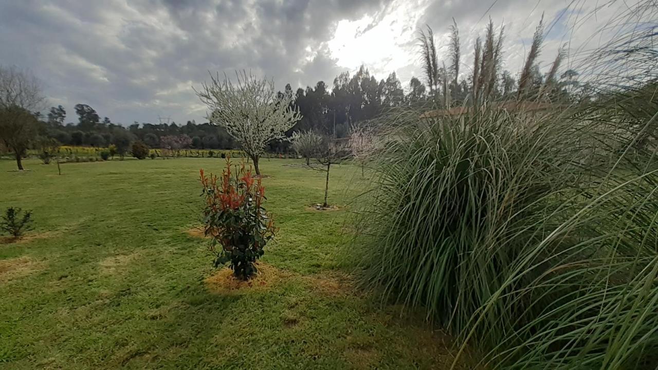 Villa Casa De Coco à Vila Nova de Poiares Extérieur photo